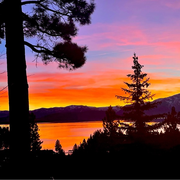 Meet your Posher, Tori - Picture 1 of 1